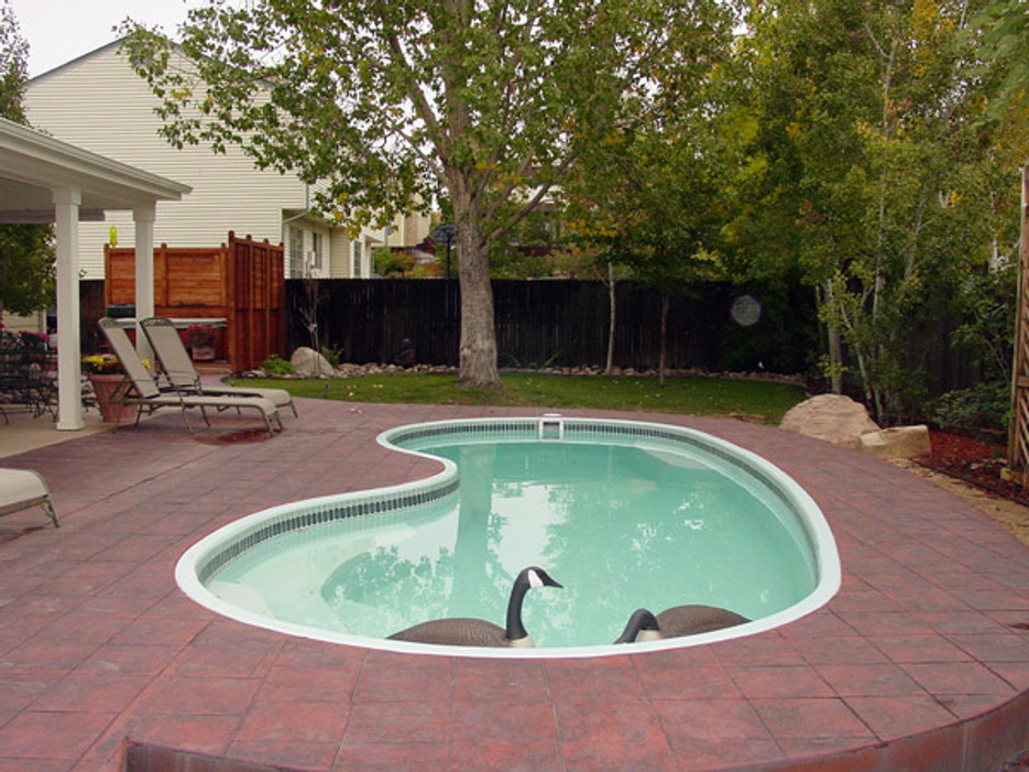 How To Get Rid Of Geese In Backyard Pools Bird B Gone Inc