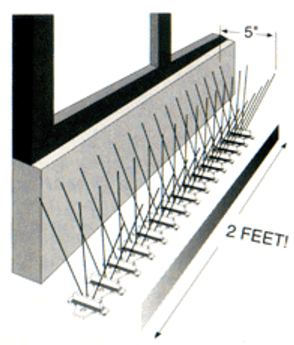 How To Install Bird Spikes Bird B Gone Inc