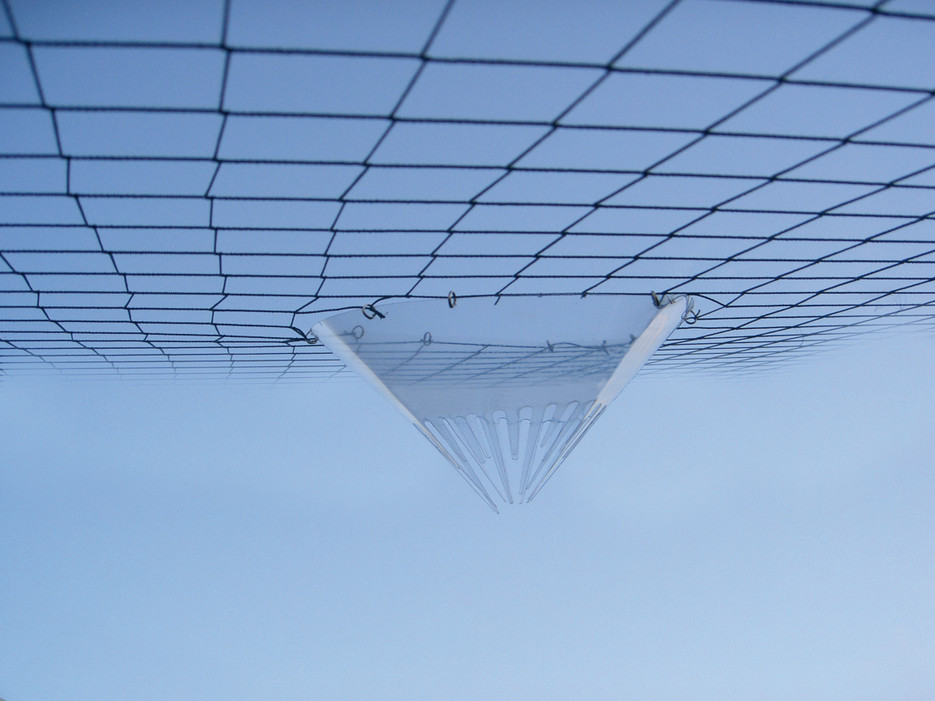 Improperly Installed Bird Netting Can be Harmful to Birds