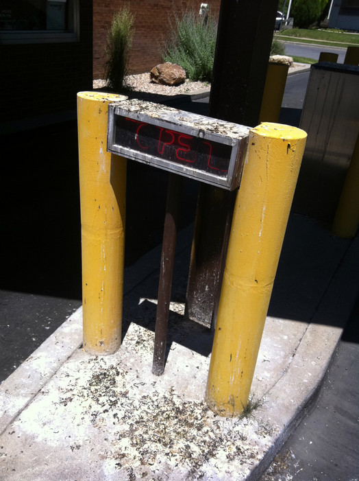 Include Bird Proofing In Your Building Maintenance