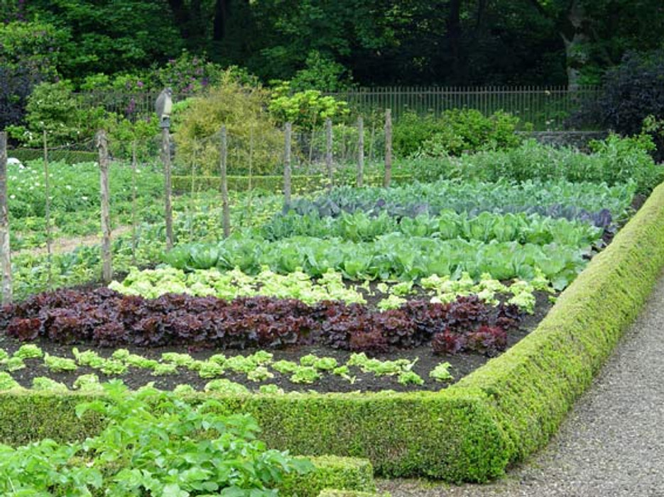 DIY Bird Netting For Your Garden - Total Bird Control