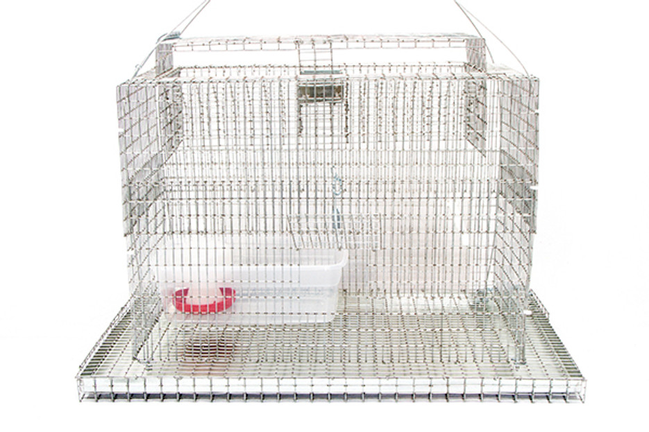 New Sparrow Sky Trap by Bird B Gone Keeps Food Production Facilities Sparrow Free