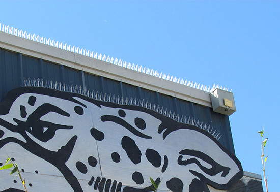 Pigeon Spikes Keep Pigeons from Landing & Roosting