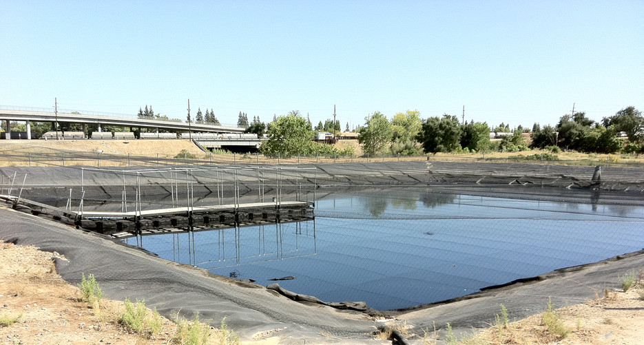 Pond Netting: Protecting People, Birds, Water, and Investments