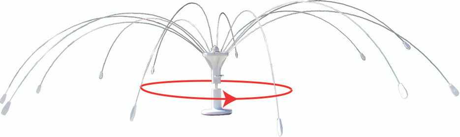 Rotating Bird Spider Now Available