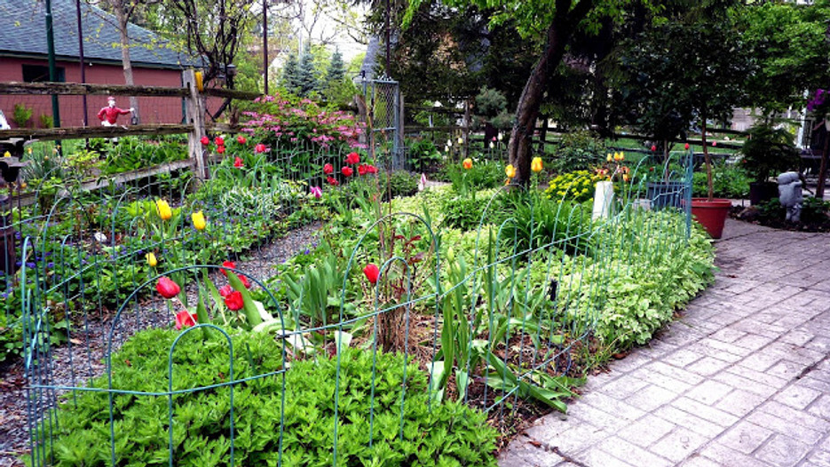 The Main Reasons for Cheap Garden Netting and Bird Deterrent Devices The Main Reasons for Cheap Garden Netting and Bird Deterrent Devices