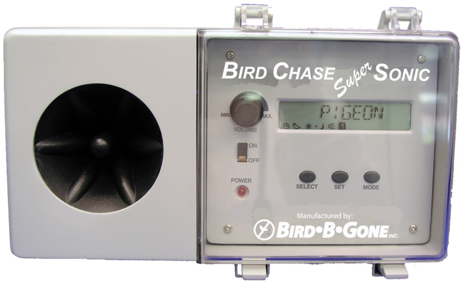 To Clean Up Subway Station, an Unlikely Tool: Bird Calls