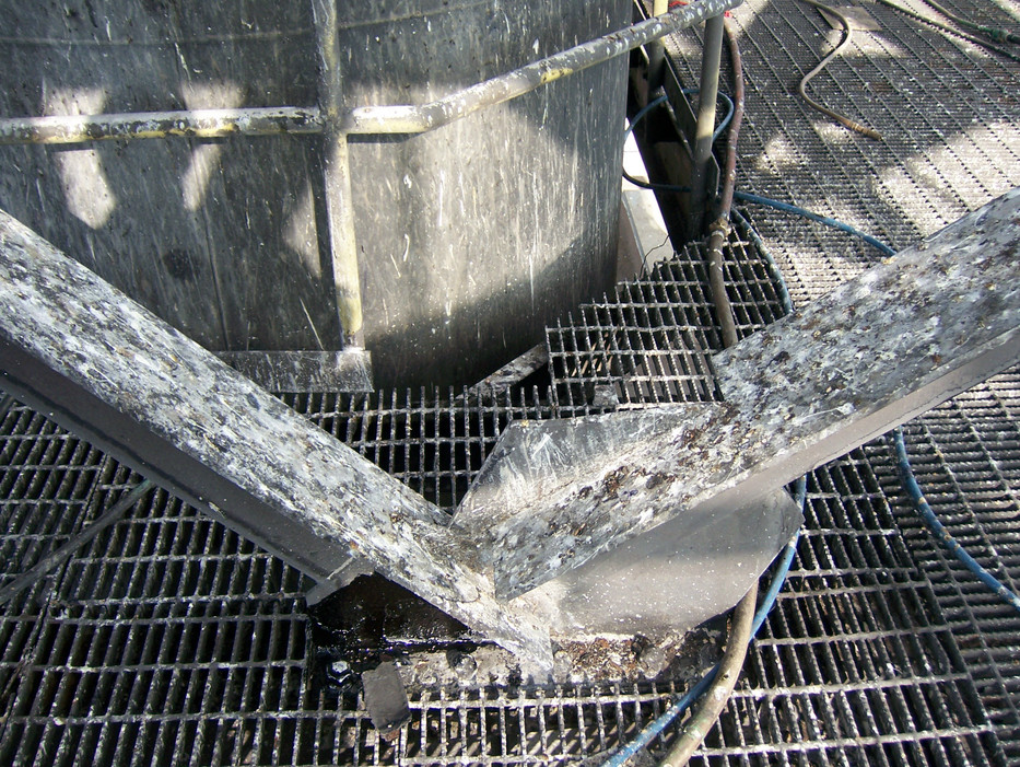 Why is Bird Control Important