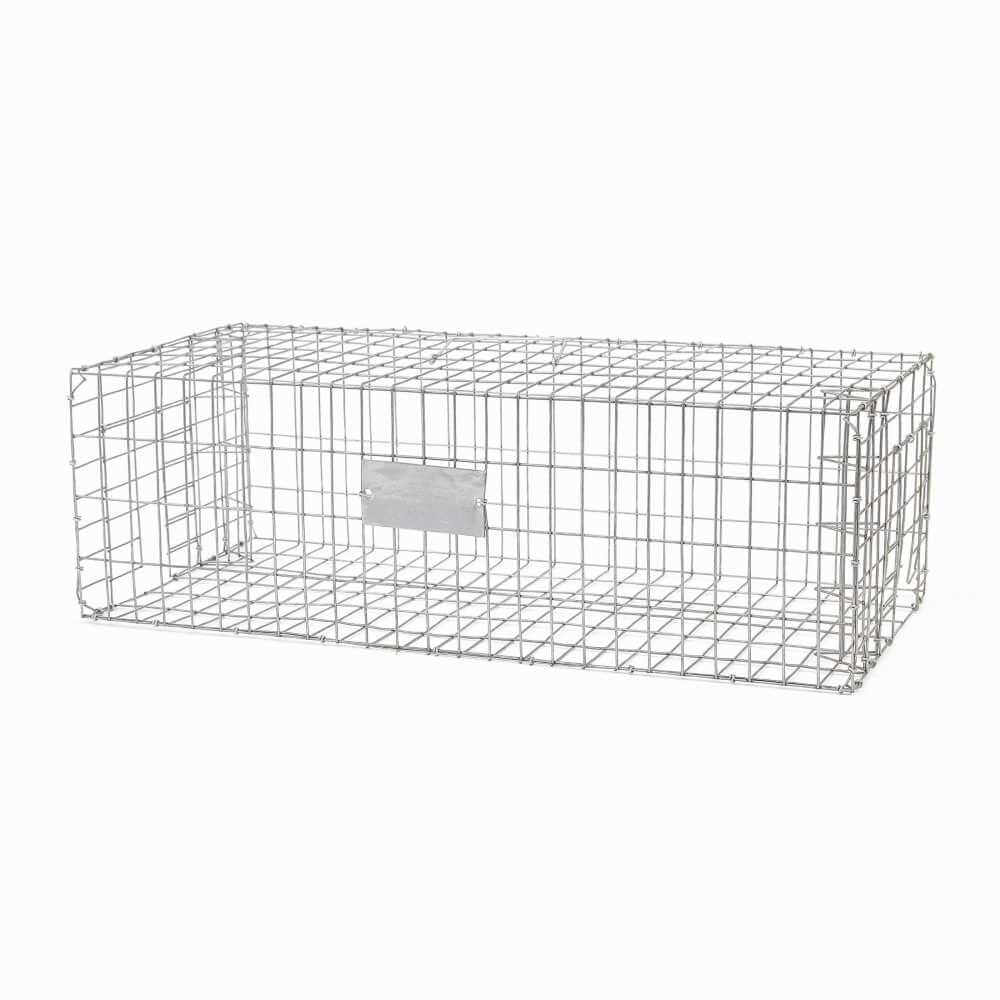 Foldable Pigeon Cages, Trap Pigeon, Bird Cages Pigeon