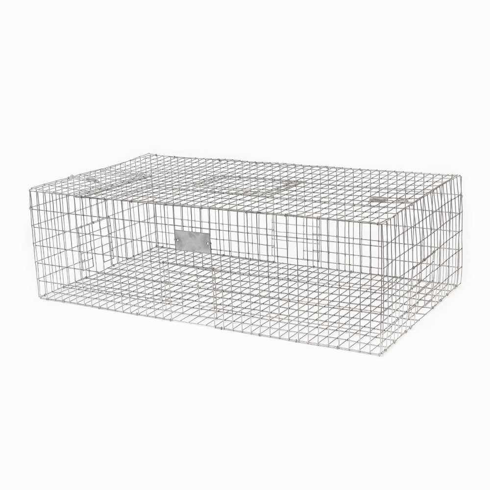 Collapsible Pigeon Trap 40 x 22 x 12