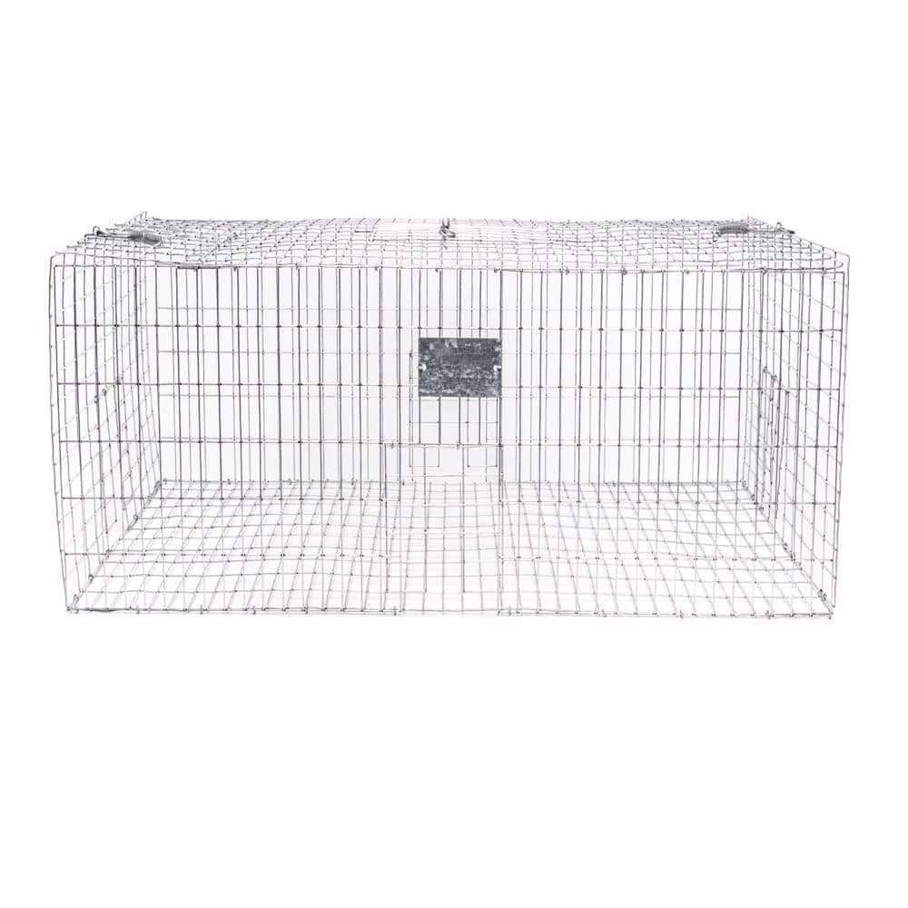 WCS™ Large Pigeon Trap - 7 Panels