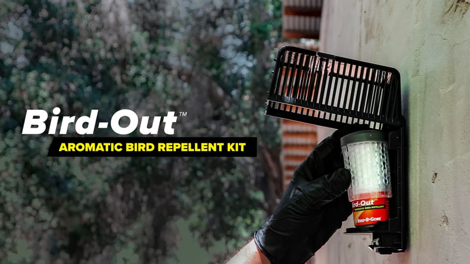 Benefits of BirdOut as a Bird Repellent Bird B Gone LLC
