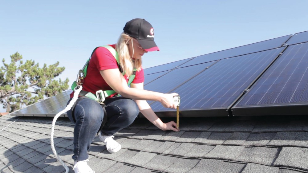 Why Birds Nest Under Solar Panels? Bird Proof Your Panels Bird B Gone LLC