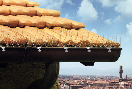 picture Stop Birds Nesting Under Roof Tiles roofs and gutters with anti bird spikes