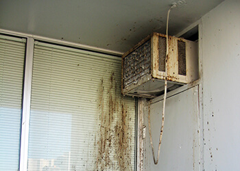 page-health-hazard-AC-unit.jpg