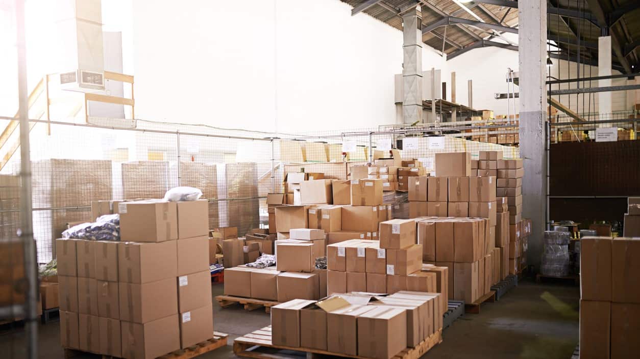 How to Keep Birds Away From Your Warehouse Bird B Gone LLC