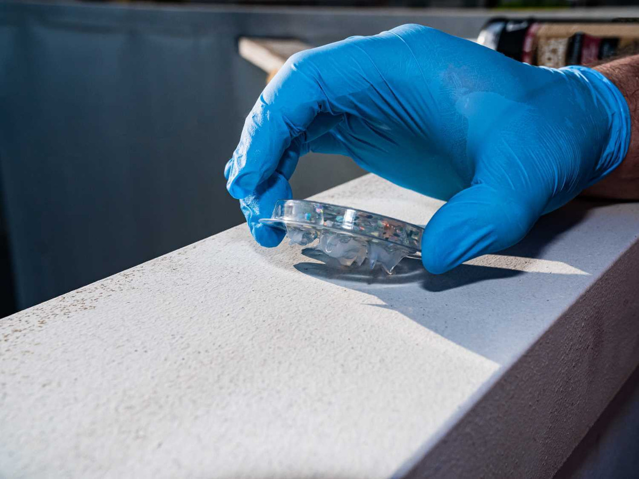 SpectrumV Holographic Bird Gel SpectrumV Holographic Bird Gel