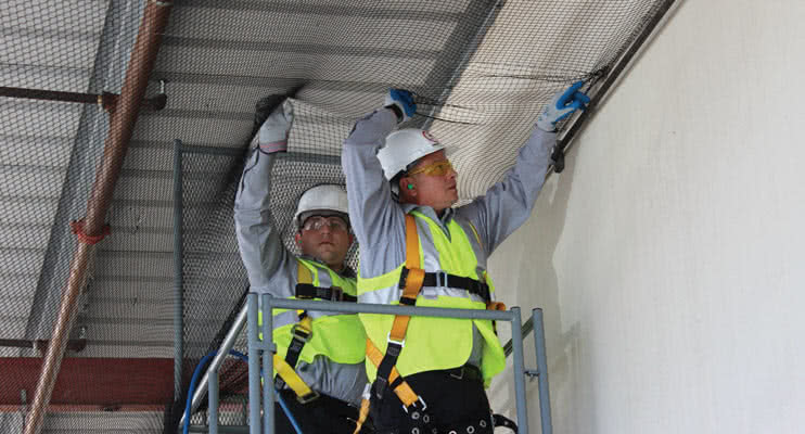 Men hanging bird netting