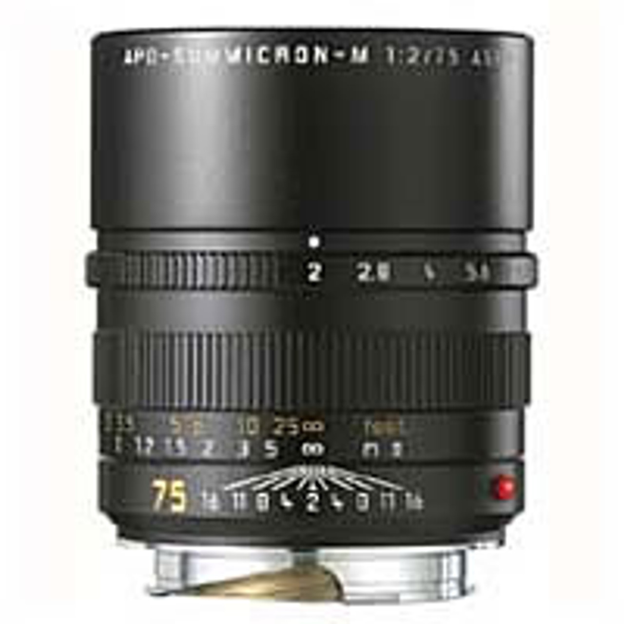 seagreen　Leica APO-SUMMICRON-M 75 Beautiful, Sharp, and Modern! Leica 75mm f2 APO ASPH Lens Review