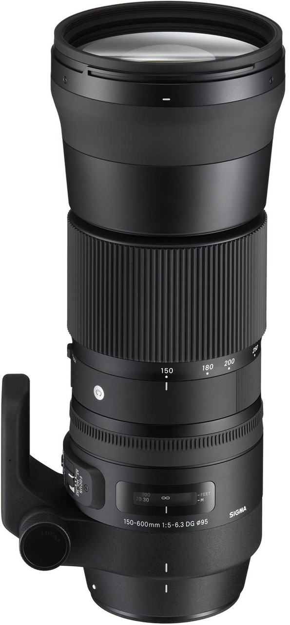 150-600mm F5-6.3 DG OS HSM Contemporary for Nikon F - Allen's Camera