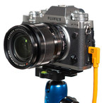 TetherPro USB Type-C Male to USB Type-C Male Cable Right Angle (15', Orange)