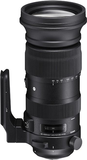 シグマ 60-600㎜ F4.5-6.3 DG OS HSM Sports - レンズ(ズーム)