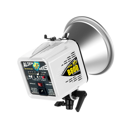 AlienBees B800 Head (White) /USED