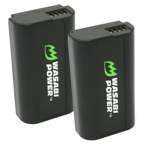 DMW-BLJ31 Battery (2-Pack) /USED