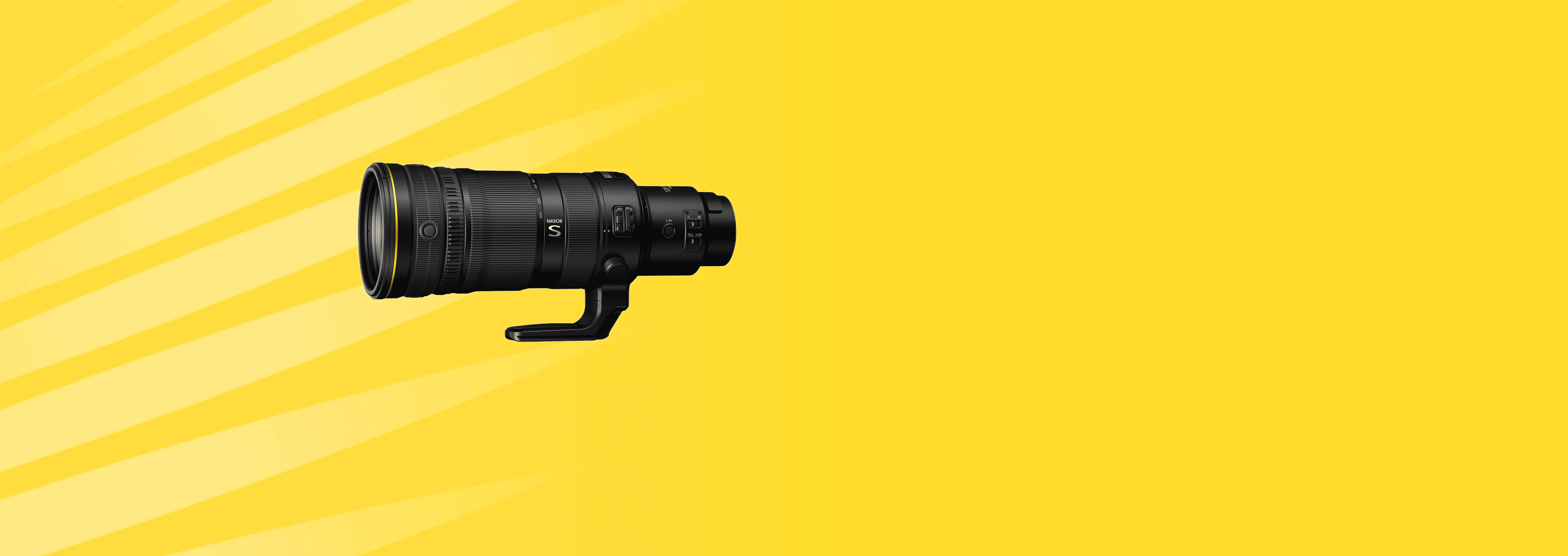 Nikon Z 120-300mm f/2.8 TC VR S