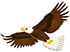 52-eagle.jpg