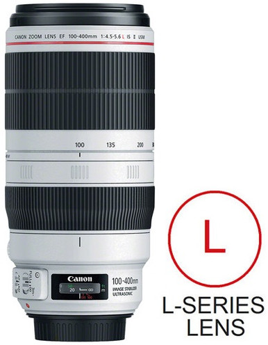 EF 100-400mm f/4.5-5.6L IS II USM Lens - Allen's Camera