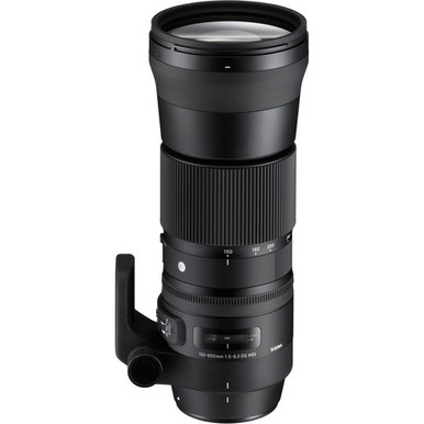 Sigma 150-600mm f/5-6.3 Contemporary for Nikon F