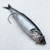 Rigged Anchovy for Salmon Trolling Rigged Anchovy for Salmon Trolling