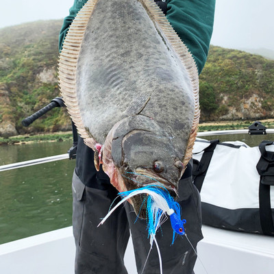 Fishing w/ Pitbull Tackle Salmon Gear in Bodega Bay, CA 