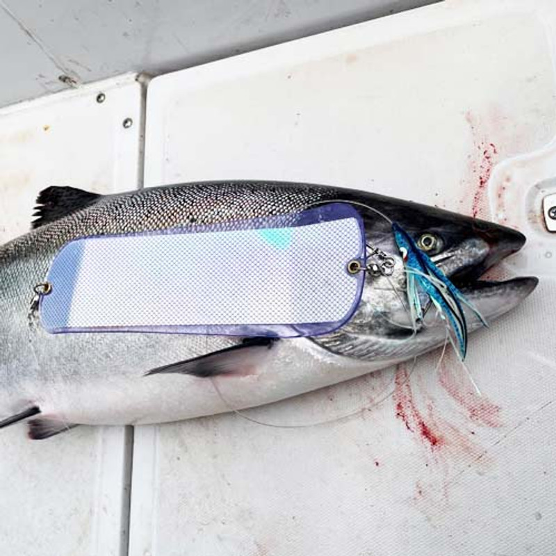 Saltwater Salmon Tackle Hoochies / Flashers