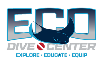 SCUBA CENTER: DiveCenter.com in Los Angeles - Discount Equipment & Certification