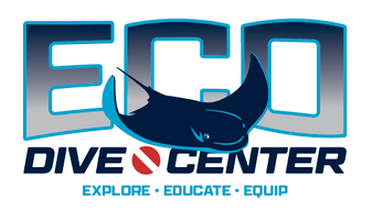 Hourly Individual Scuba Training Eco Dive Center
