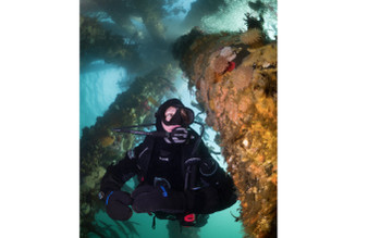 Oil rig dives California aboard la county's best scuba diving charter - boat diving at its best with the Pacific star dive boat. Real adventure, real dive boat, good fun things to do in life 