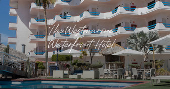 La Paz Group Trip, 7 Days of Diving, October 4-13, 2026