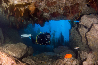 BOAT TICKET: Labor Day Trip to Blue Cavern & Ship Rock 05/26/2025 8:00AM 3 Dives - SoCal Dive Boat - EXPERIENCED DIVERS ONLY