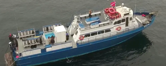 BOAT TICKET: 3 Anacapa Island Reef/Kelp Forest Dives 3/29/26 7am departure/5pm return - Spectre Dive Boat