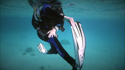 Dive Safe: Tips to Prevent Cramps While Scuba Diving