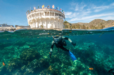 Scuba Job Numbers Are Great for the Economy