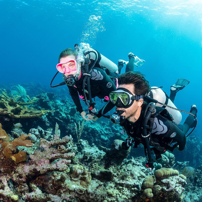 Dive into the Future: Scubapro Everflex Yulex Wetsuits