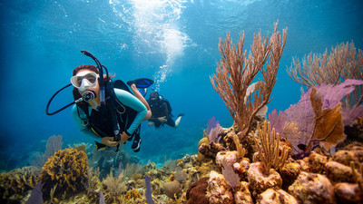 How to become a better diver - Top 5 Tips for New Open Water Students