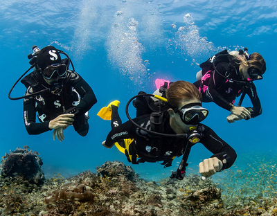 Best Group Tropical Trip June 2024! All inclusive dive expedition! Airfare, unlimited dives, hotel, free nitrox....