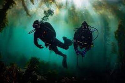 Dive Site - Terranea Resort, Palos Verdes, Southern California