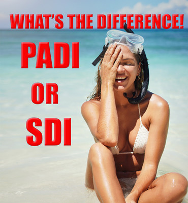 PADI vs. SDI: Key Differences in Scuba Certification and Agency Philosophy