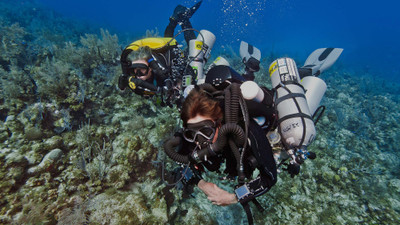 The Rise of Tech Diving