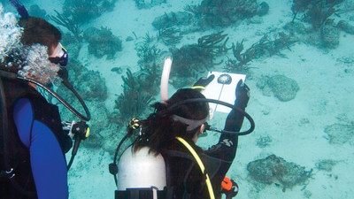 Why Take the Underwater Navigation Specialty Course?